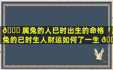 🍀 属兔的人巳时出生的命格「属兔的已时生人财运如何了一生 🐈 」
